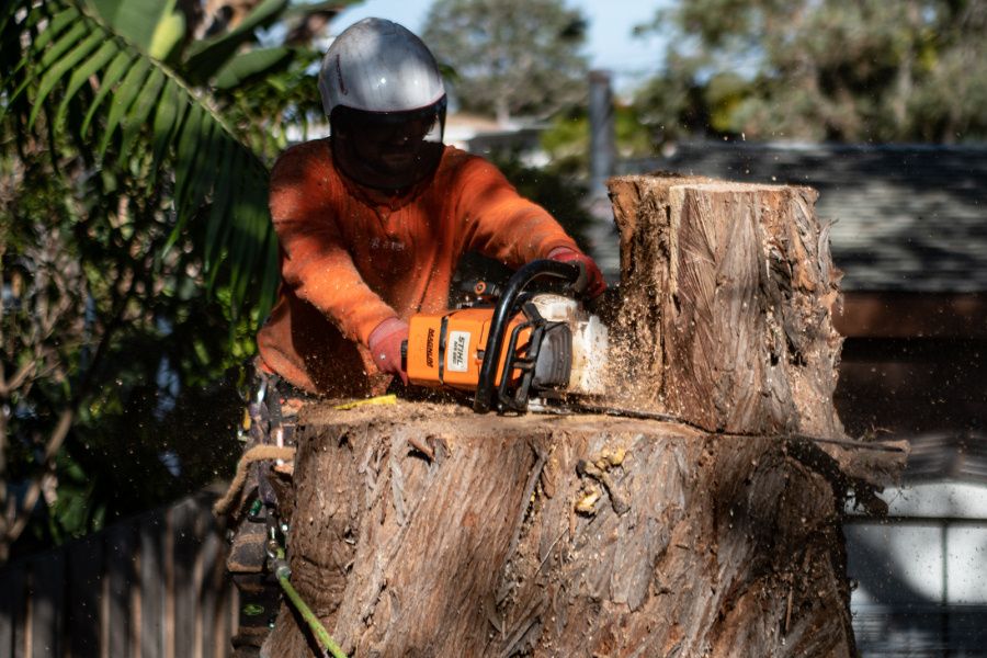 Tree Services Company