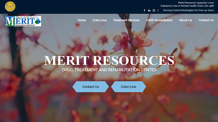 Merit Resources