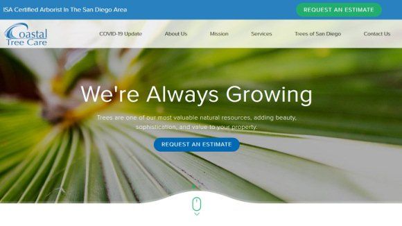 Commercial Arborist Website Design